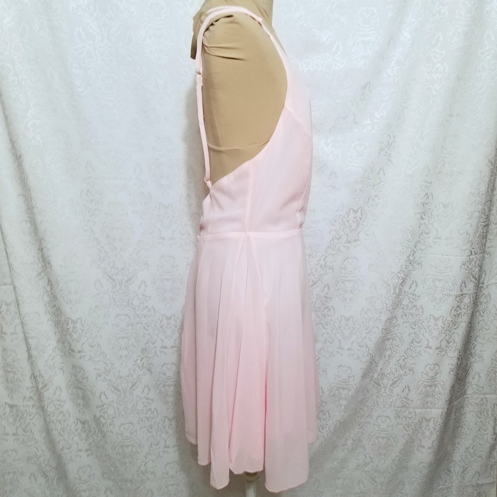 Pale Pink Pinxie Dress - Picture 4 of 8